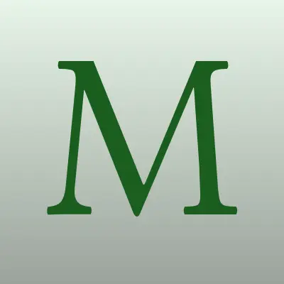 МЕГАзвук, магазин автозвука, лого-визитка